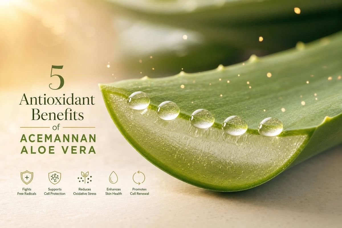 5 Antioxidant Benefits of Acemannan Aloe Vera