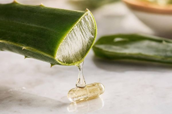 Acemannan 101: Why This Aloe Component Matters in a Daily Supplement
