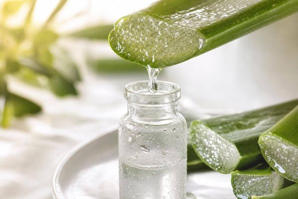 Why Extraction Method Matters When Choosing an Aloe Product