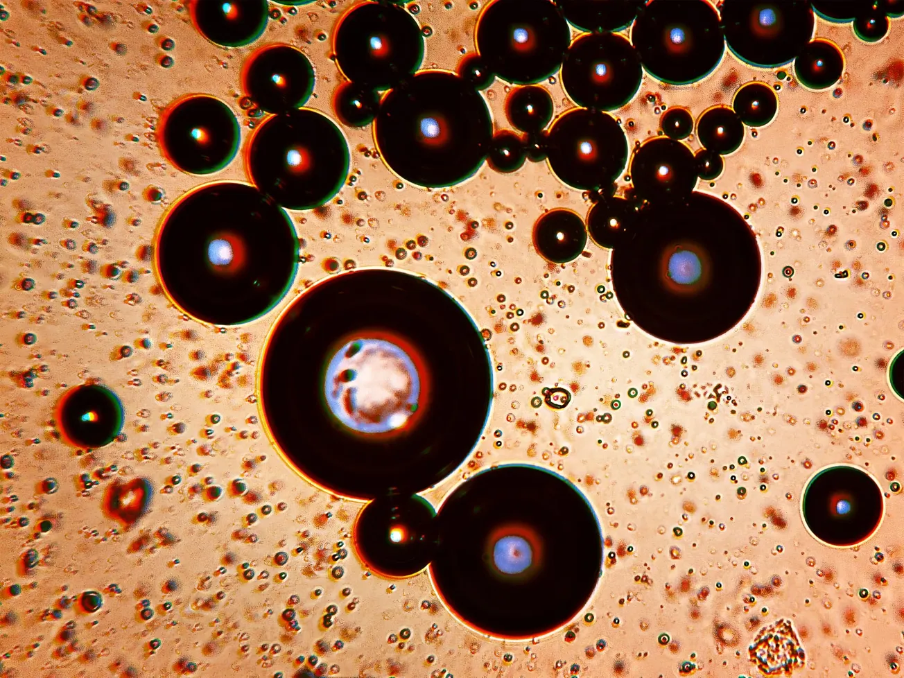 Can beanless coffee brands disrupt the commodity market?