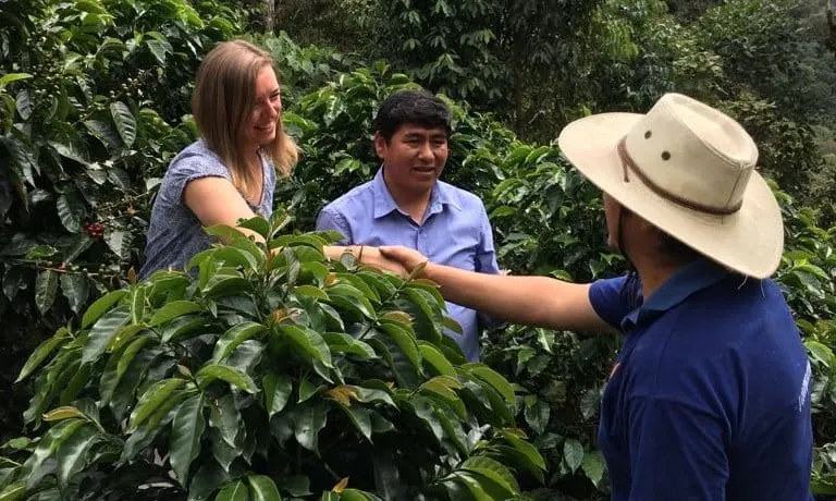 Matthew Algie launches supply chain decarbonisation project in Honduras