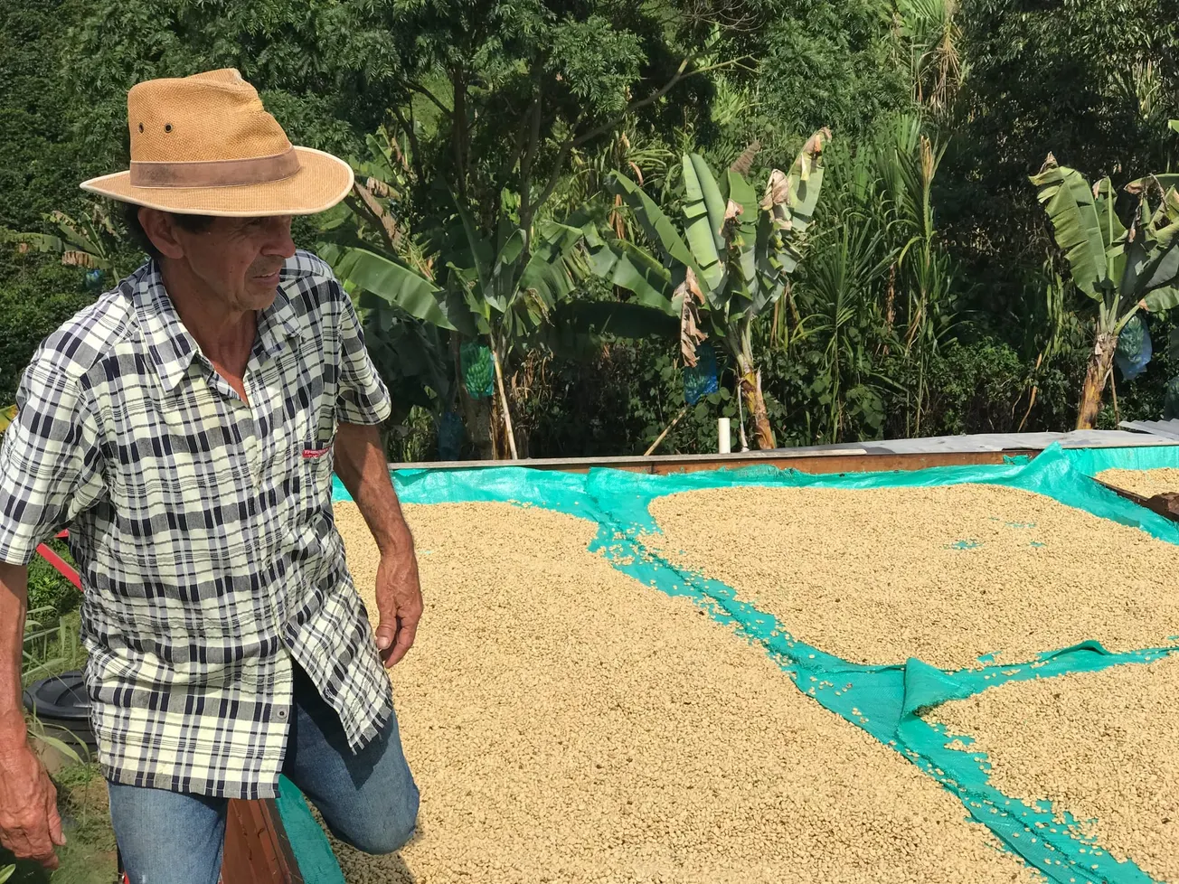 Why value in the coffee supply chain gets lost in translation