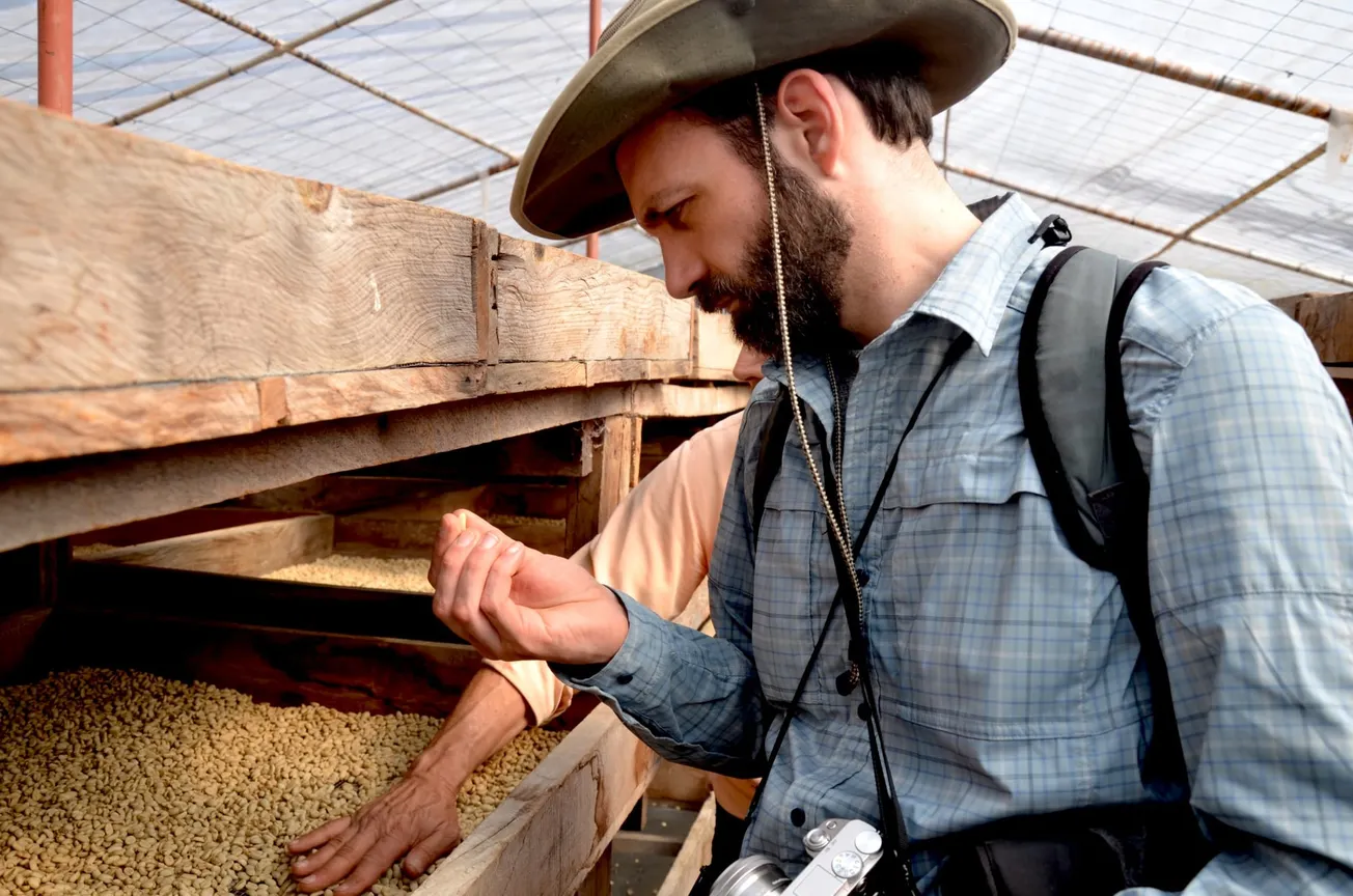 How to transform your direct trade coffee sourcing programme