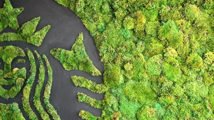 Starbucks appoints Marika McCauley Sine as Chief Sustainability Officer