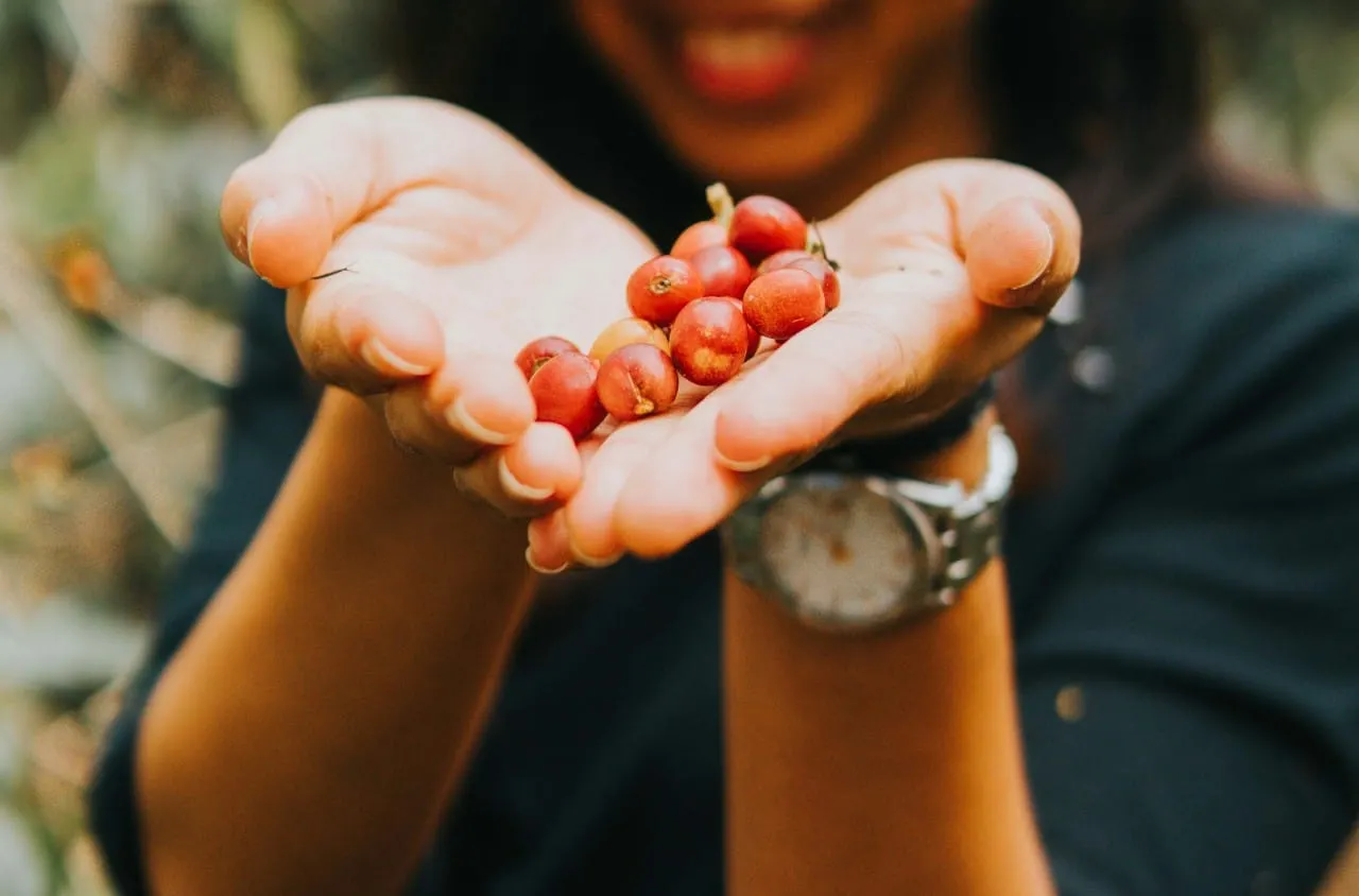 Bonus: Nurturing relationships at origin – A conversation with La Cabra