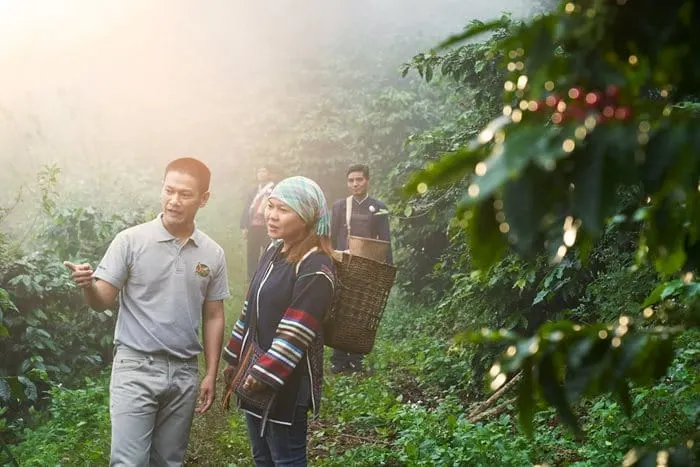 Thailand’s PTTOR to build coffee R&D centre to meet rising Café Amazon demand