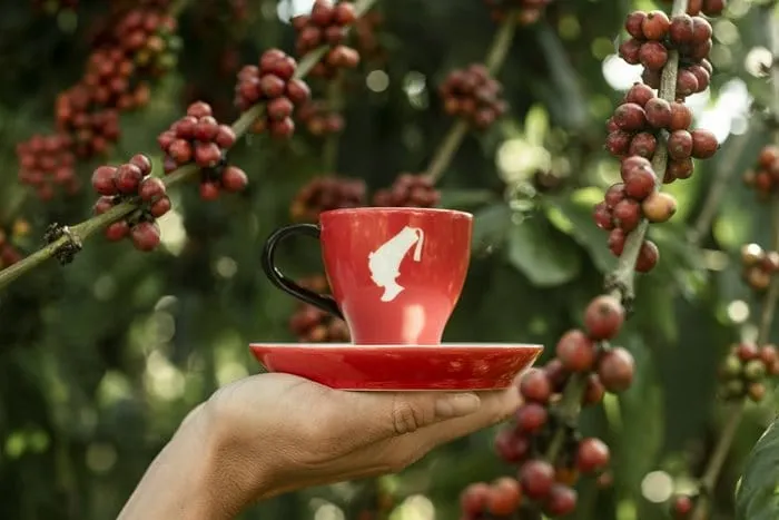 Austrian coffee roaster Julius Meinl joins initiative for coffee&climate (c&c)