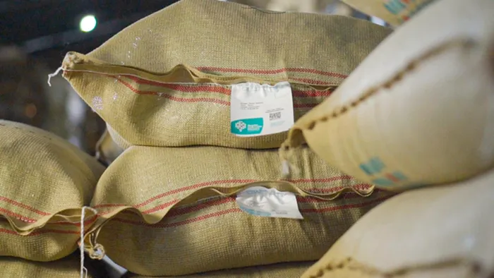 Brazilian coffee cooperative Expocacer opens first logistics hub in the US