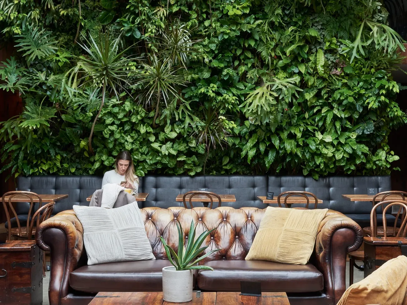 Why the future of coffee shop design is biophilic