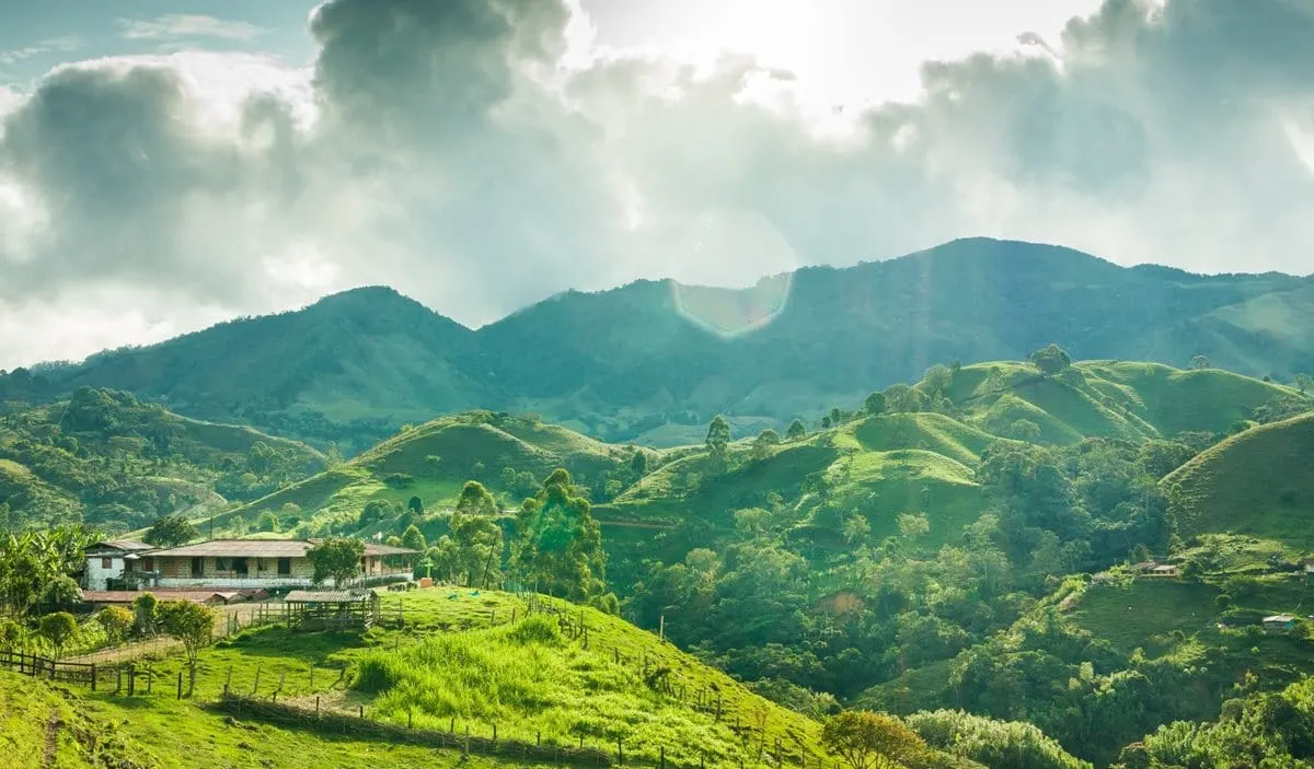 Episode 23: Environmental sustainability at origin