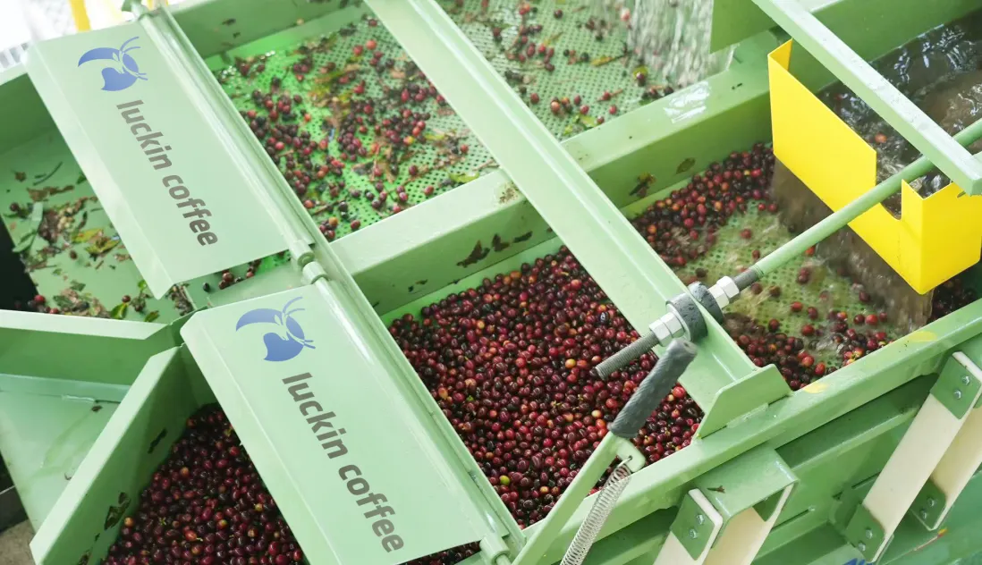 News 24/7: Luckin Coffee flexes supply chain muscle to deliver surging second quarter growth