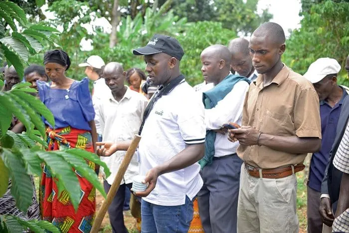 Join Neumann Kaffee Gruppe to shape a sustainable future for coffee together!