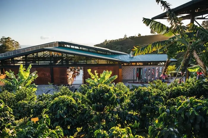 Starbucks to open sustainability and innovation hub in Costa Rica