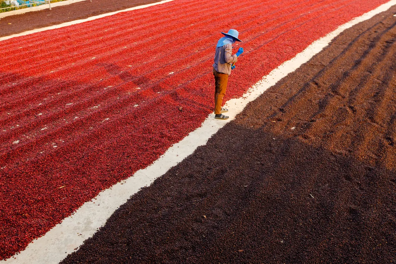 Hospitality’s race to net zero