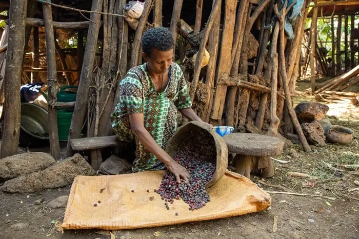 Project Waterfall completes four-year clean water initiative in Ethiopia