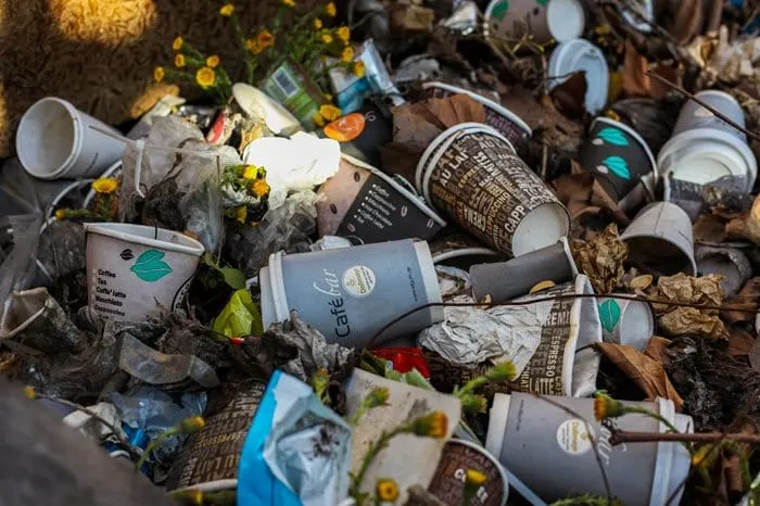 Greenpeace report highlights disposable coffee cup waste in Japan