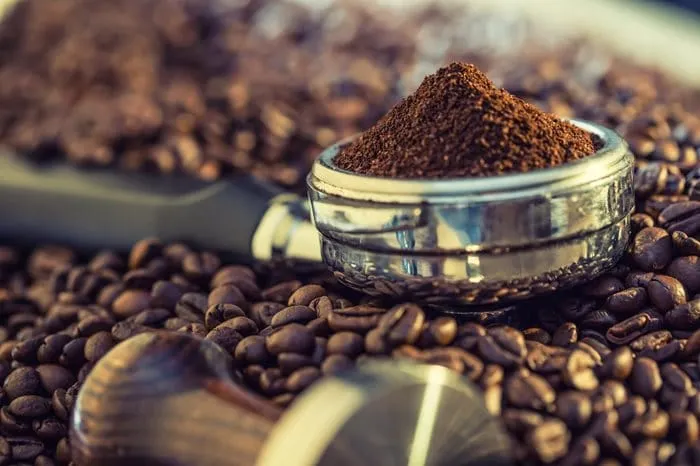 FreshBrew invests $10m in specialty coffee roasting plant