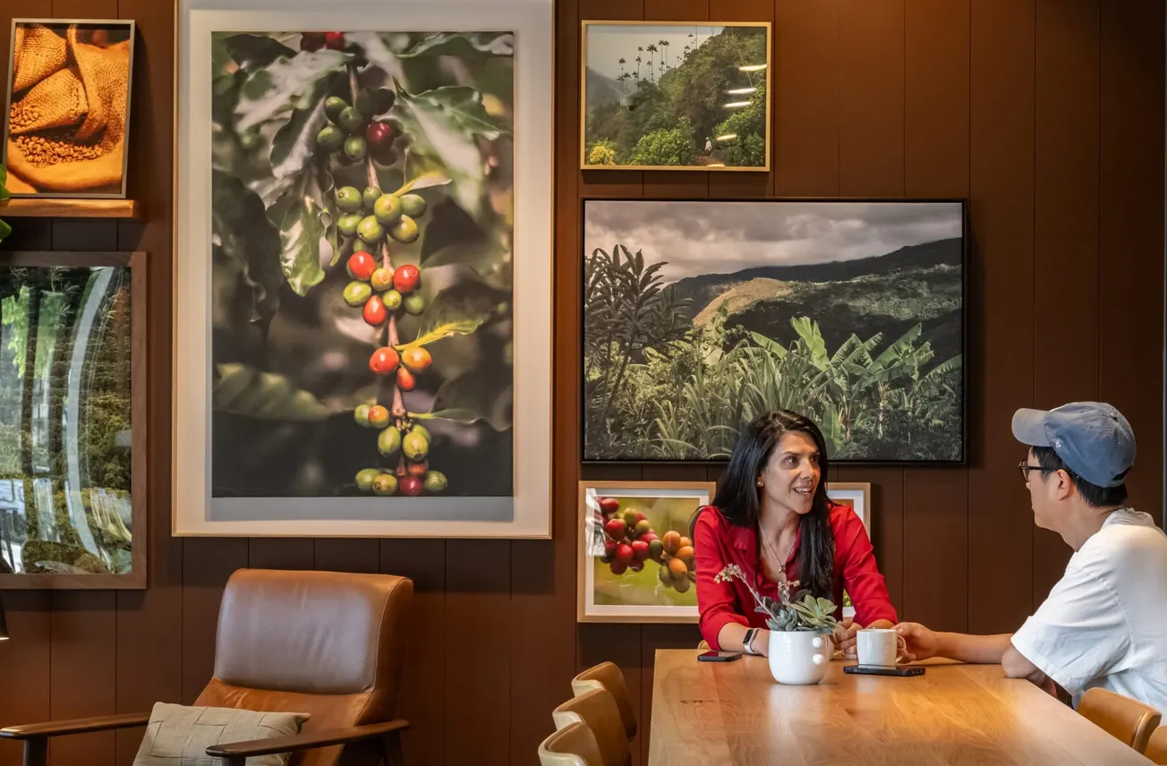 News 24/7: Starbucks reports positive progress on US coffeehouse revamp
