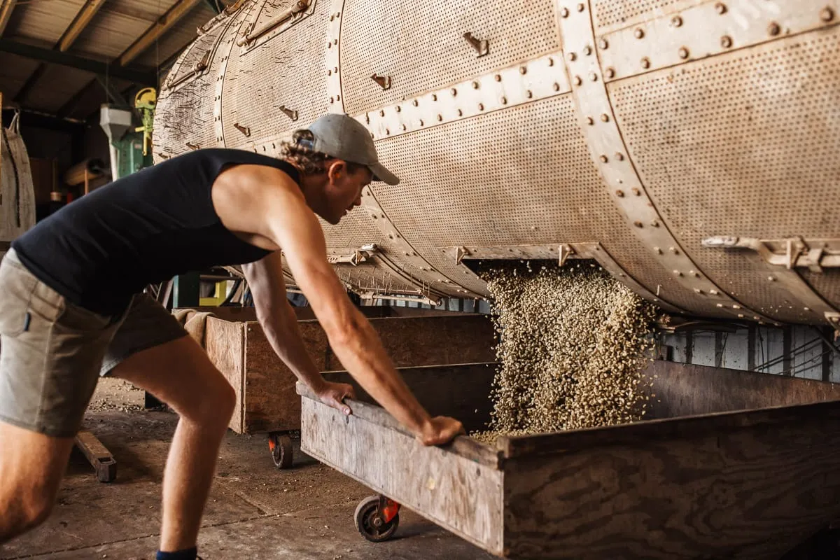 Episode 184: Australia as a coffee origin – Part two