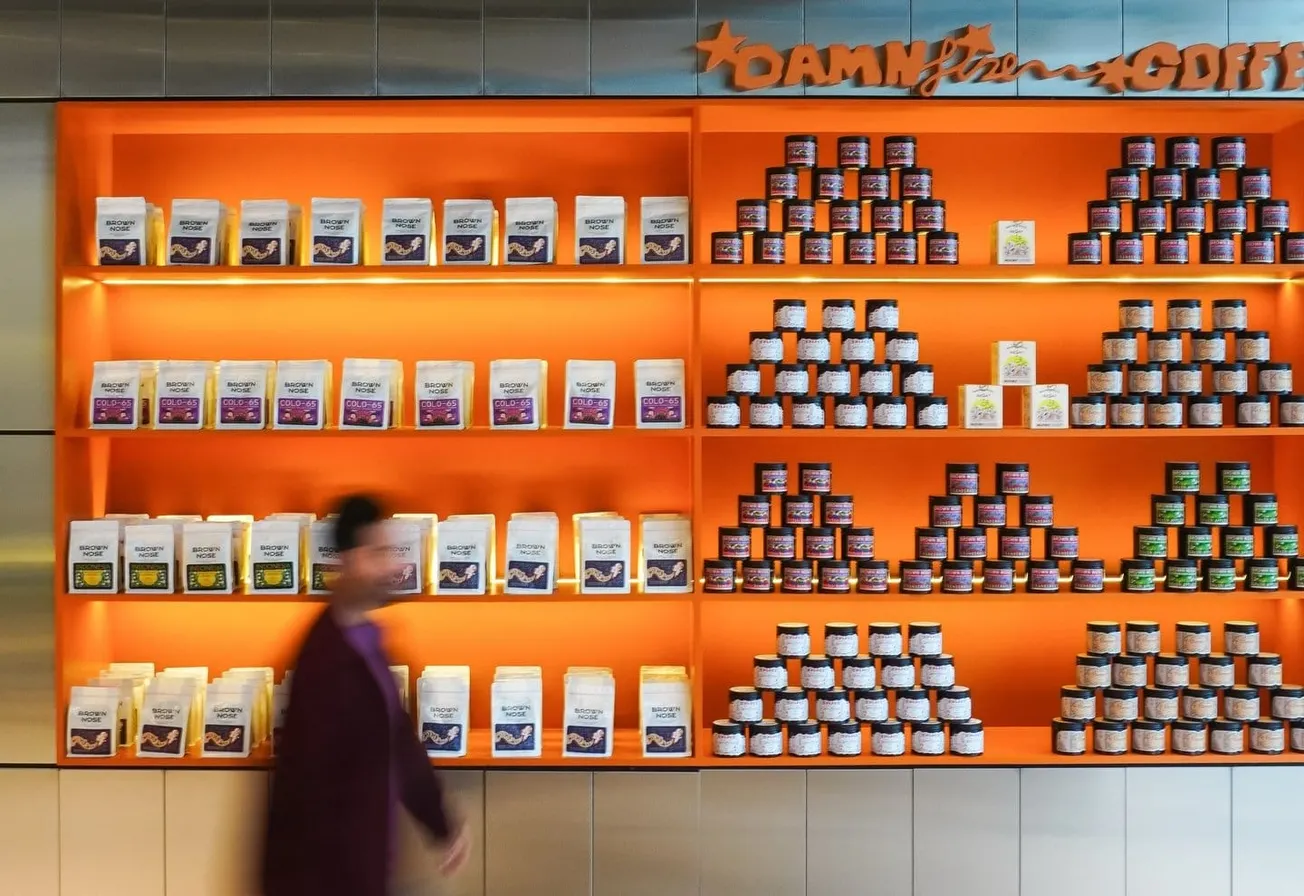 Egyptian boutique specialty coffee group set for stake sale