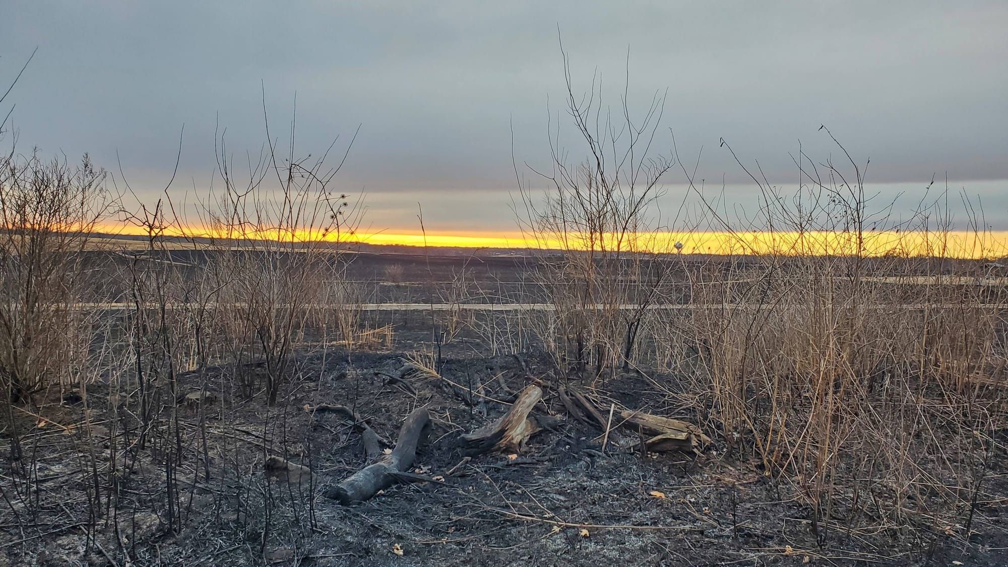 Hope in Burnt Offerings