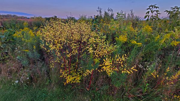 What is Spiritual Practice?