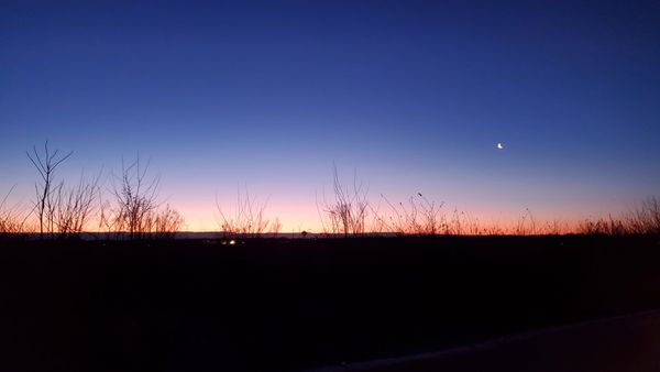 The Embodiment of Love