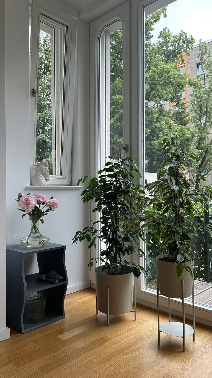 Personal Experience: Renting an Apartment in Berlin