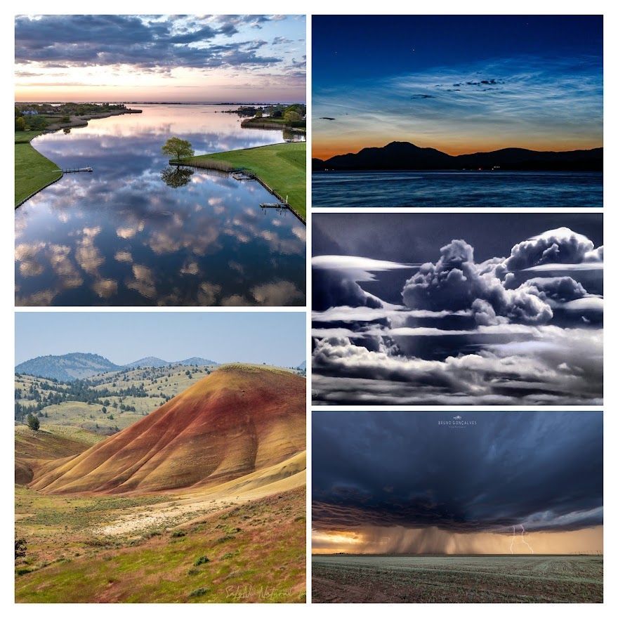 Photo of the Month June 2023 Results