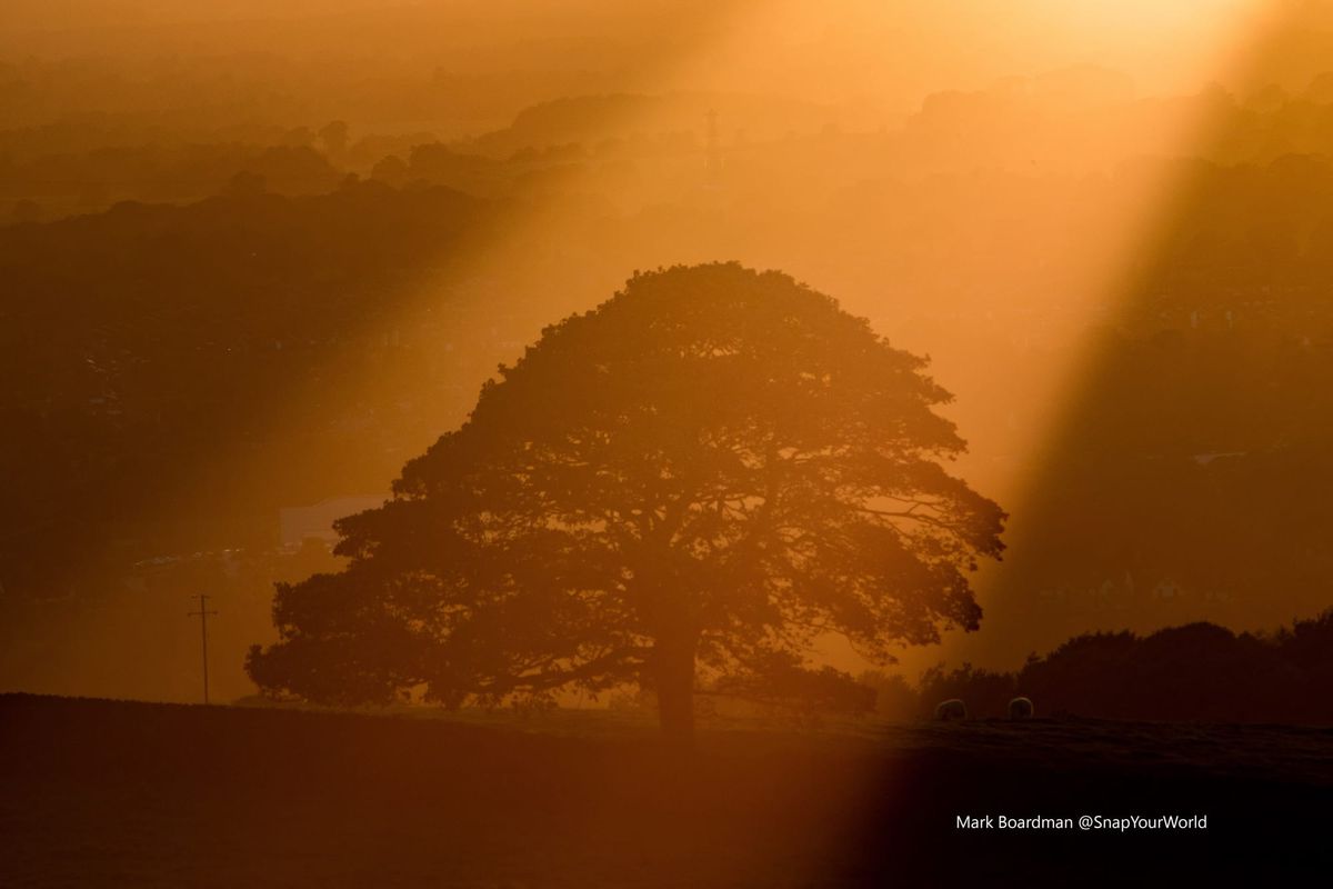 You’ve Probably Already Filmed Something That Could Sell