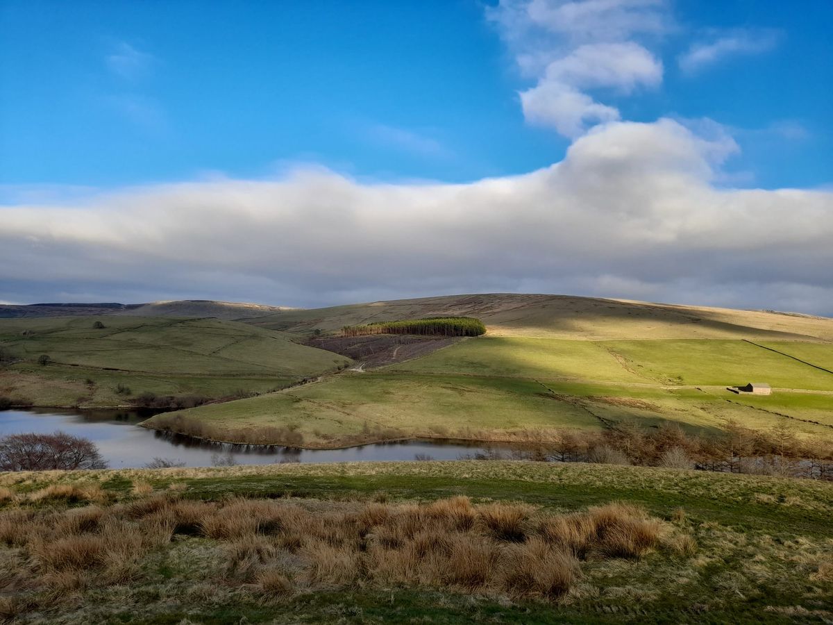 StormHour Plus Community Downloads