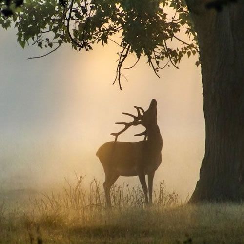 Weather Photo Of The Week 20th August 2018