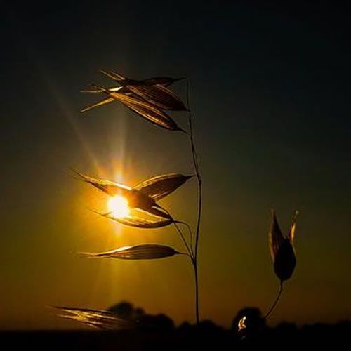 Weather Photo Of The Week Winners 16th July 2018