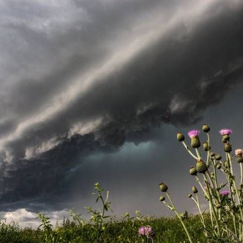 Weather Photo Of The Week 14th July 2019