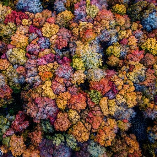 Weather Photo Of The Week 3rd November 2019