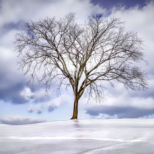 Weather Photo Of The Week 13th January 2020