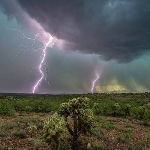 Featured Photographer Lori Grace Bailey