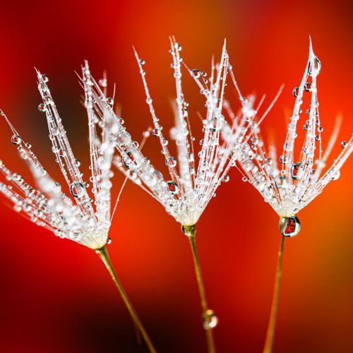 Weather Photo Of The Week 4th May 2020