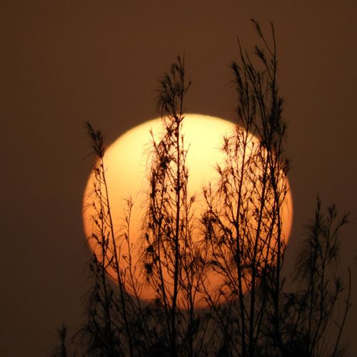 Weather Photo Of The Week 18th May 2020