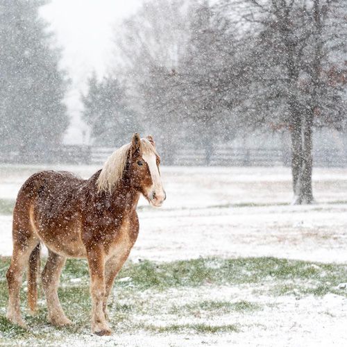 Weather Photo Of The Week 28th December 2020