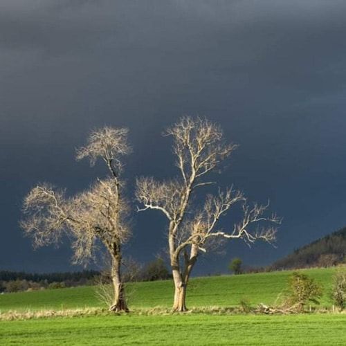 Photo of the Month April 2022 Results