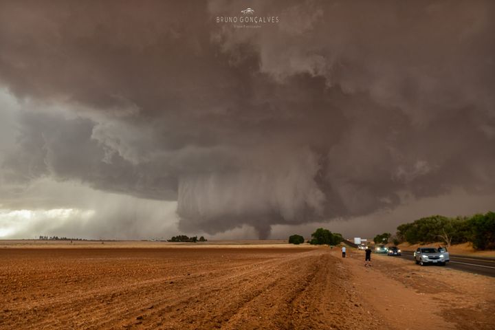 Member’s Spotlight ~ Bruno Gonçalves