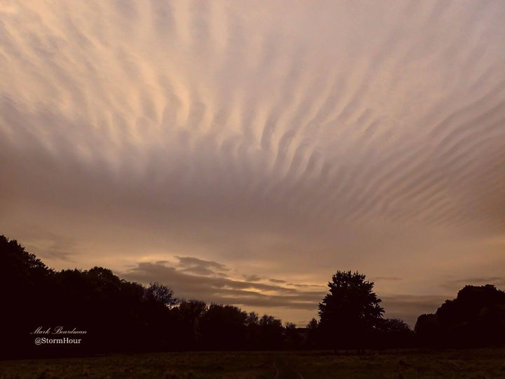 What Are Altocumulus Clouds? A Complete Guide for Weather Watchers and Photographers