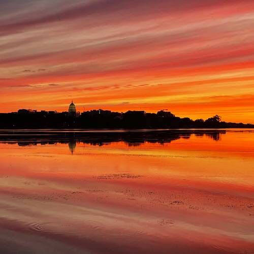 Member’s Spotlight ~ Naveena Jaspal