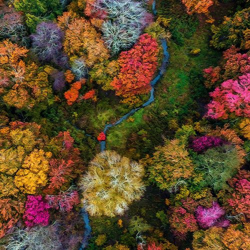 Weather Photo Of The Week 26th October 2020