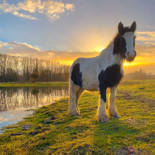 Weather Photo Of The Week 8th February 2021