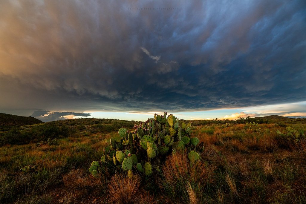 Blanket_of_mammatus_from_some_earlier_severe_warned_storms_near_Prescott_Arizona_Mike_Olbinski_MikeOlbinski_1024x1024
