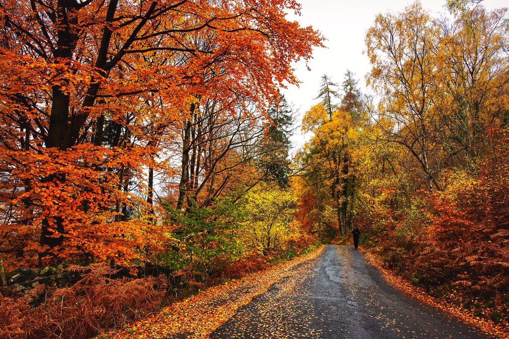 Great_autumnal_colours_on_the_way_down_to_Derwentwater_by_Neil_Squires_Neil_Squires_1024x1024