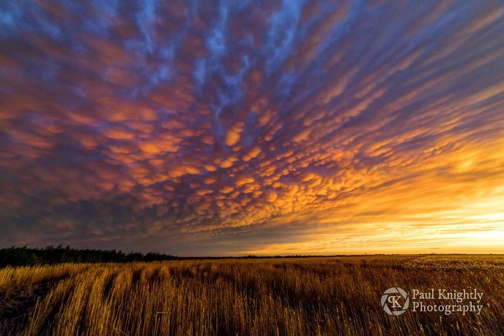 Mammatus_over_a_field_ready_for_harvest._Brownell_Kansas_Paul_Knightly_Photography_KnightlyPhoto_1024x1024