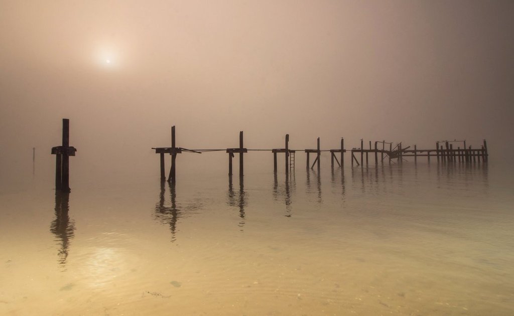 1st_Place_A_foggy_Poole_Harbour_by_Rachel_Baker_Saintsmadmomma_b55c08ea-29c7-4ad0-bdb6-f4199206f5c7_1024x1024